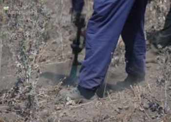 After seven-year search, mom discovers missing son’s remains