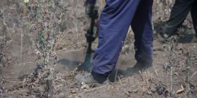 After seven-year search, mom discovers missing son’s remains