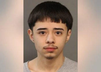 Alleged Chicago gang members charged following feds seize guns, ‘switch’ devices from home