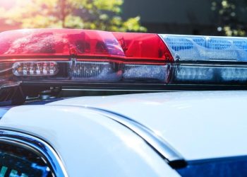 Body Discovered in New Orleans East intersection; NOPD investigating