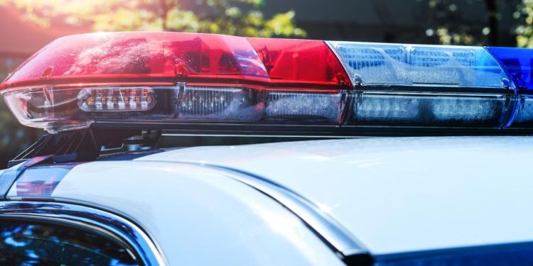 Catalytic Converter Theft Suspects Apprehended In Downtown LA