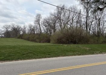Human Remains Discovered In Dublin Field Identified As 46-year-old Woman