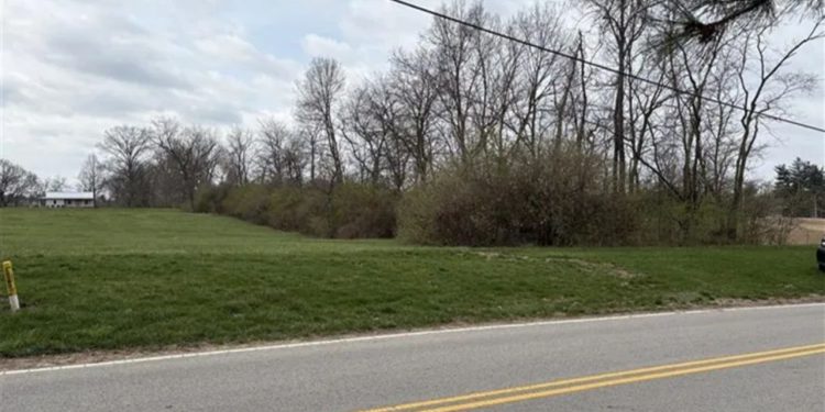 Human Remains Discovered In Dublin Field Identified As 46-year-old Woman