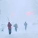 Major Winter Storm Brings 80 MPH Winds, Up to 24 Inches of Snow