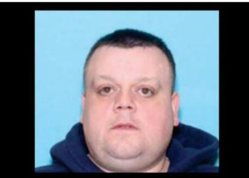 Massachusetts dogfighting ring arrested, suspect faces federal charges