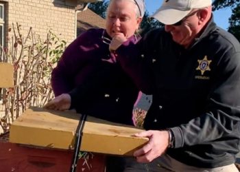 Massachusetts woman who fled to Tennessee, sentenced after unleashing thousands of bees on deputies in attempt to avoid eviction