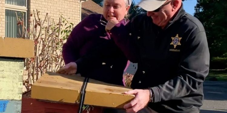 Massachusetts woman who fled to Tennessee, sentenced after unleashing thousands of bees on deputies in attempt to avoid eviction