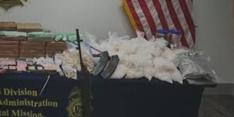 Millions of dollars’ worth of drugs confiscated in largest drug bust in New Jersey history
