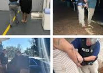 Multiple State Government Employees Apprehended in Florida