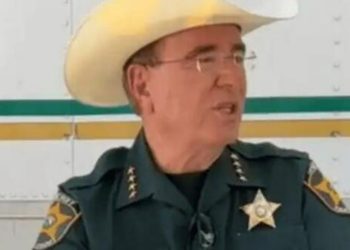 Polk County Predator Sting Results in 19 Arrests, Including Well-Known Local Figure