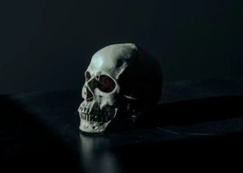 Skull Found In Amazon Box Identified As Missing Chicago Man