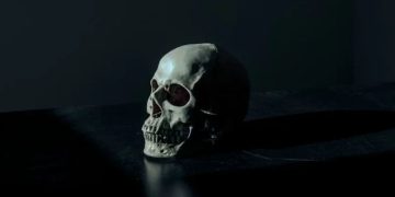 Skull Found In Amazon Box Identified As Missing Chicago Man