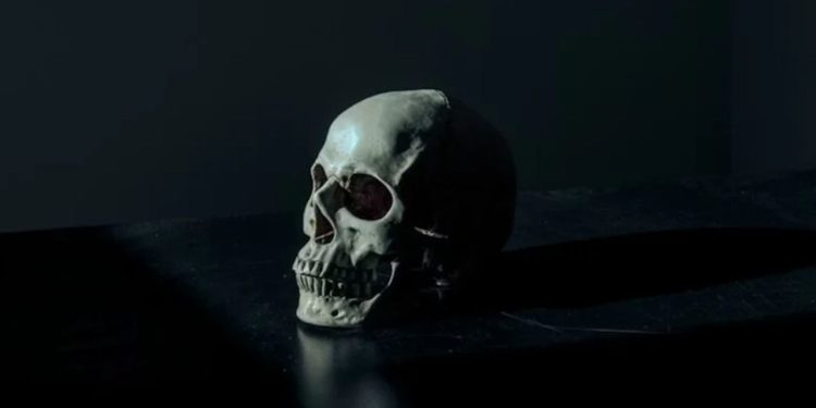 Skull Found In Amazon Box Identified As Missing Chicago Man