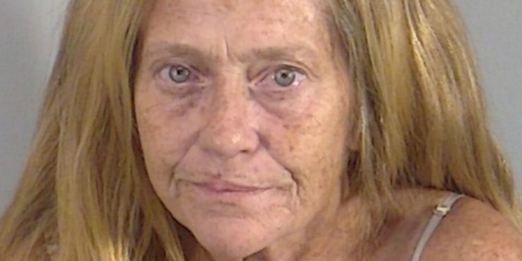 Spruce Creeker apprehended on drug charge on Historic Side of The Villages