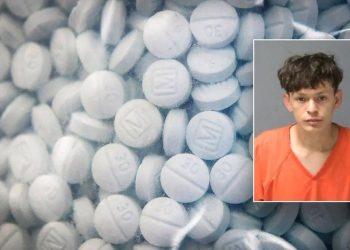 Suspect in ICE custody after fentanyl and cocaine hits deputy in face