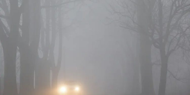 Texas Braces for Arctic Surge Bringing Sharp Temperature Drop