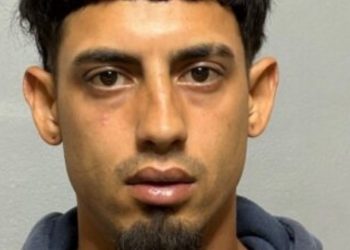 Trucker without CDL detained after trying to drive semi away from 7-Eleven