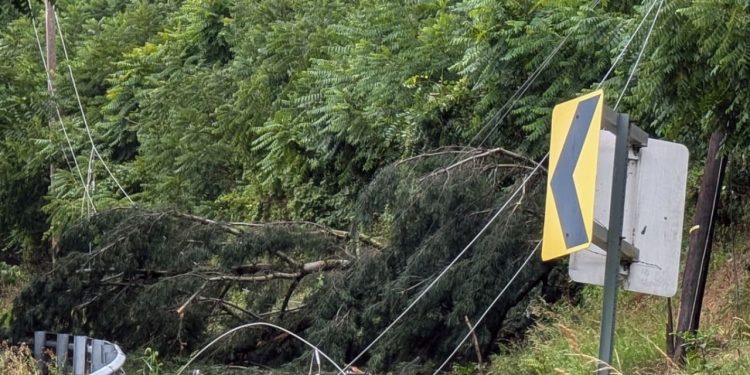 U.S. Issues Warning For 4 states preparing for 60-80 MPH winds tonight